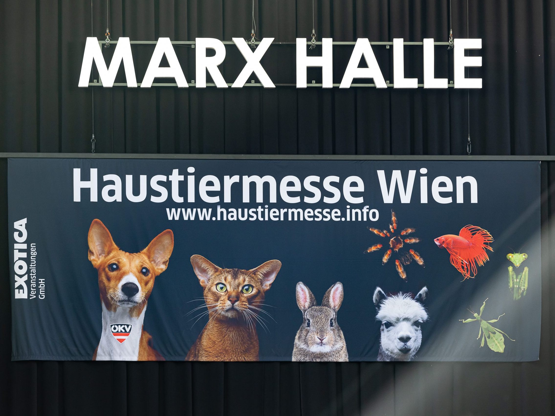 Die Haustiermesse Wien 2024 wird deutlich größer. Die Haustiermesse Wien 2024 wird deutlich größer.