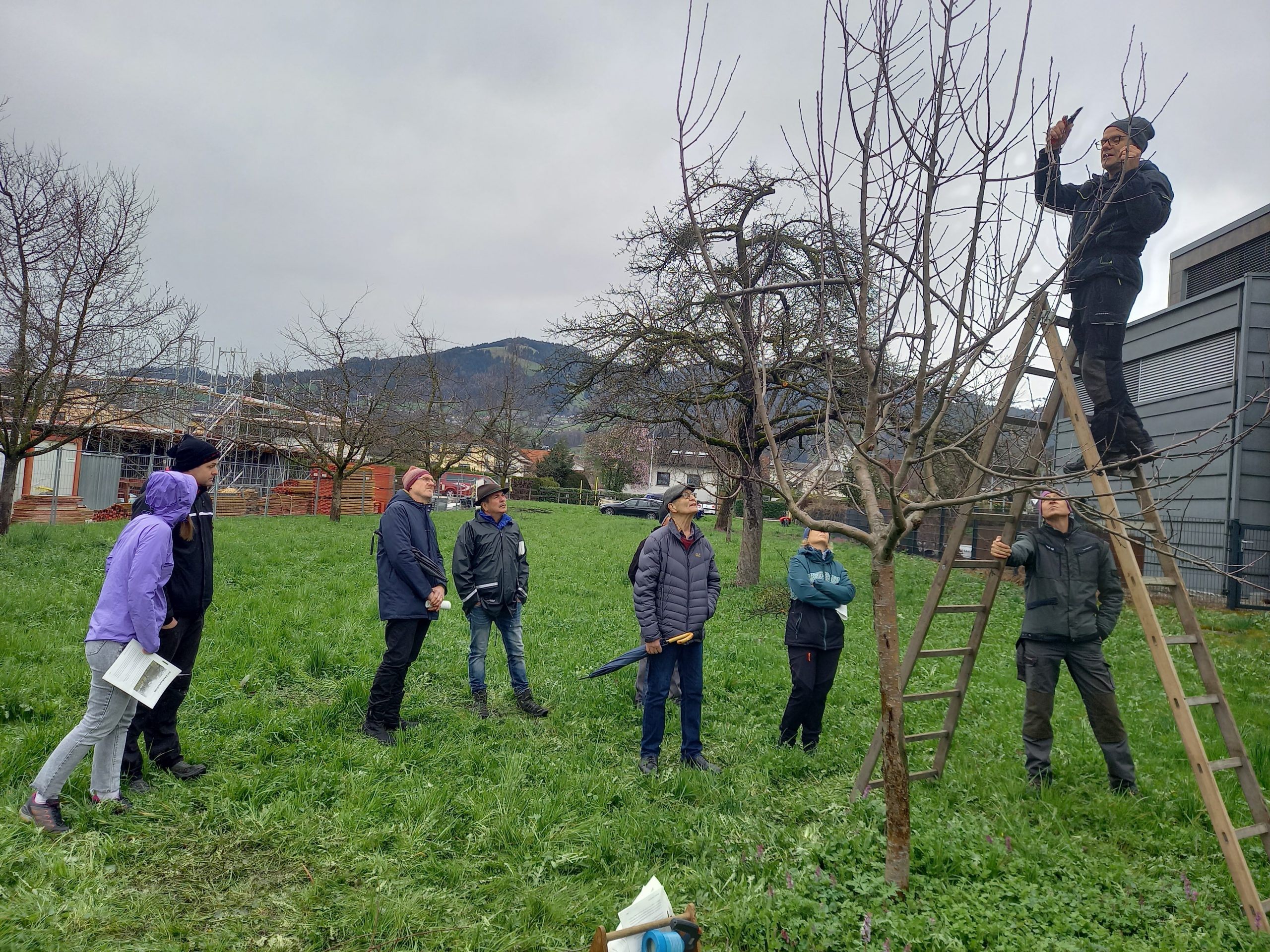 Am Samstag startet mit dem ersten Baumschnittkurs das Gartenjahr des OGV Dornbirn. Am Samstag startet mit dem ersten Baumschnittkurs das Gartenjahr des OGV Dornbirn.