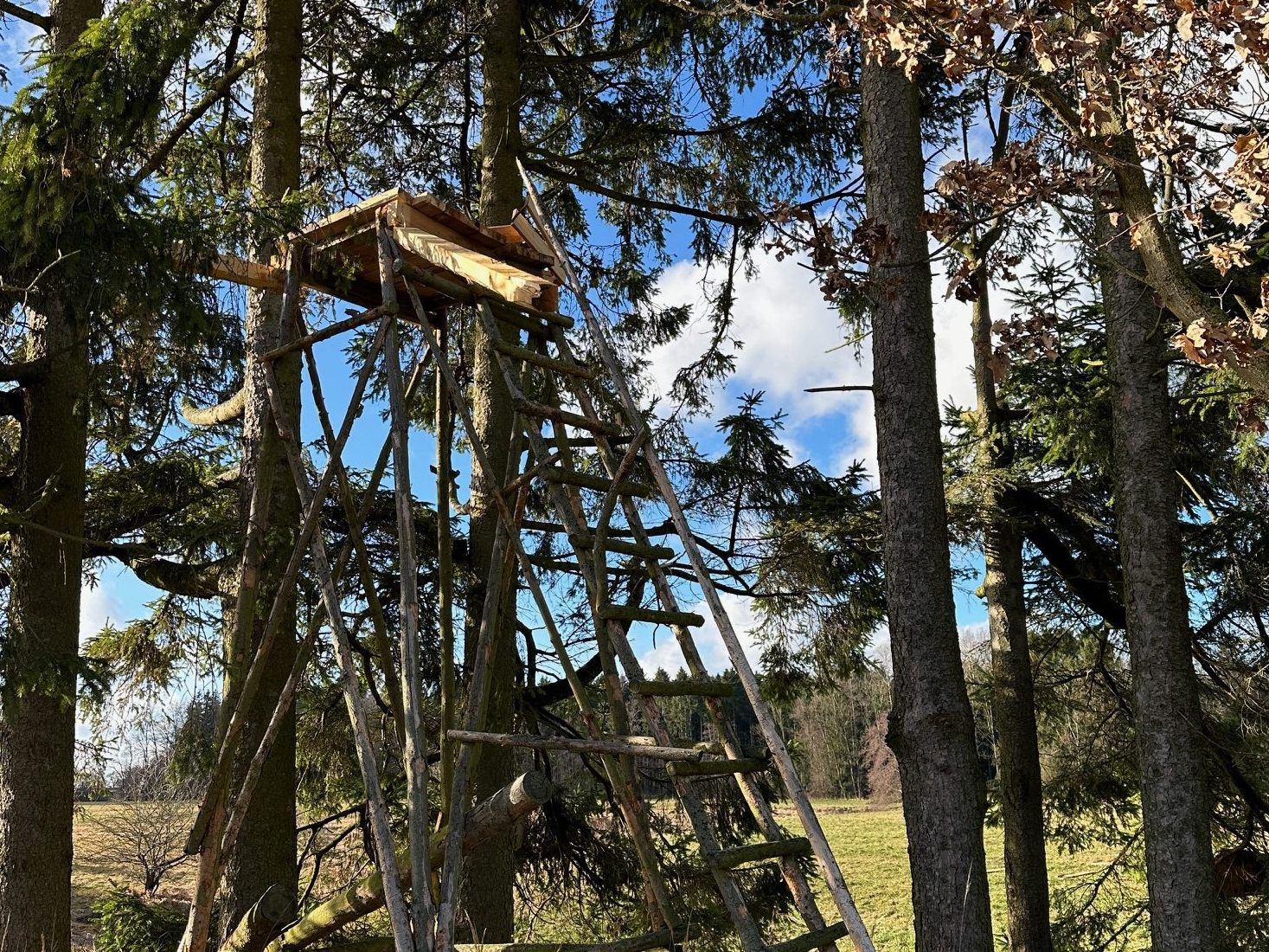 Die Sprengung eines Hochstandes im Bezirk Melk konnte geklärt werden.