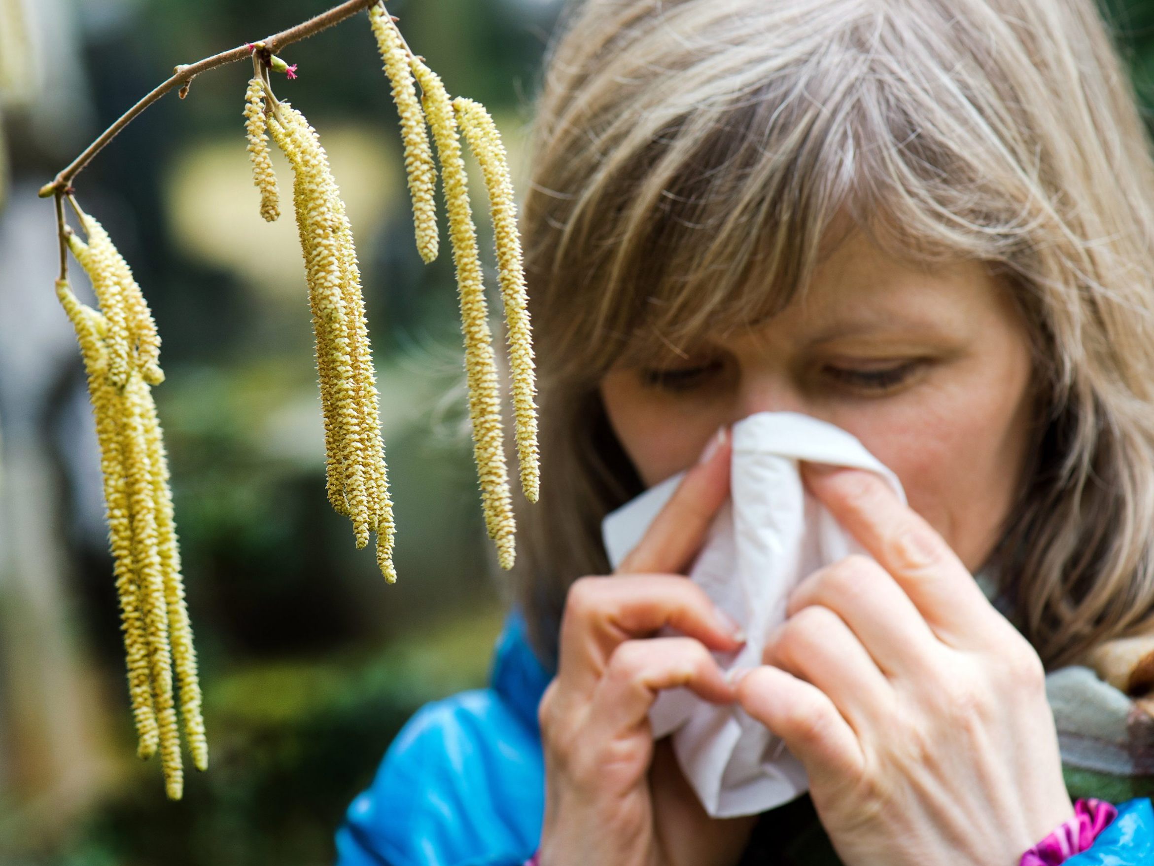 Die Pollensaison belastet wieder Allergiker.