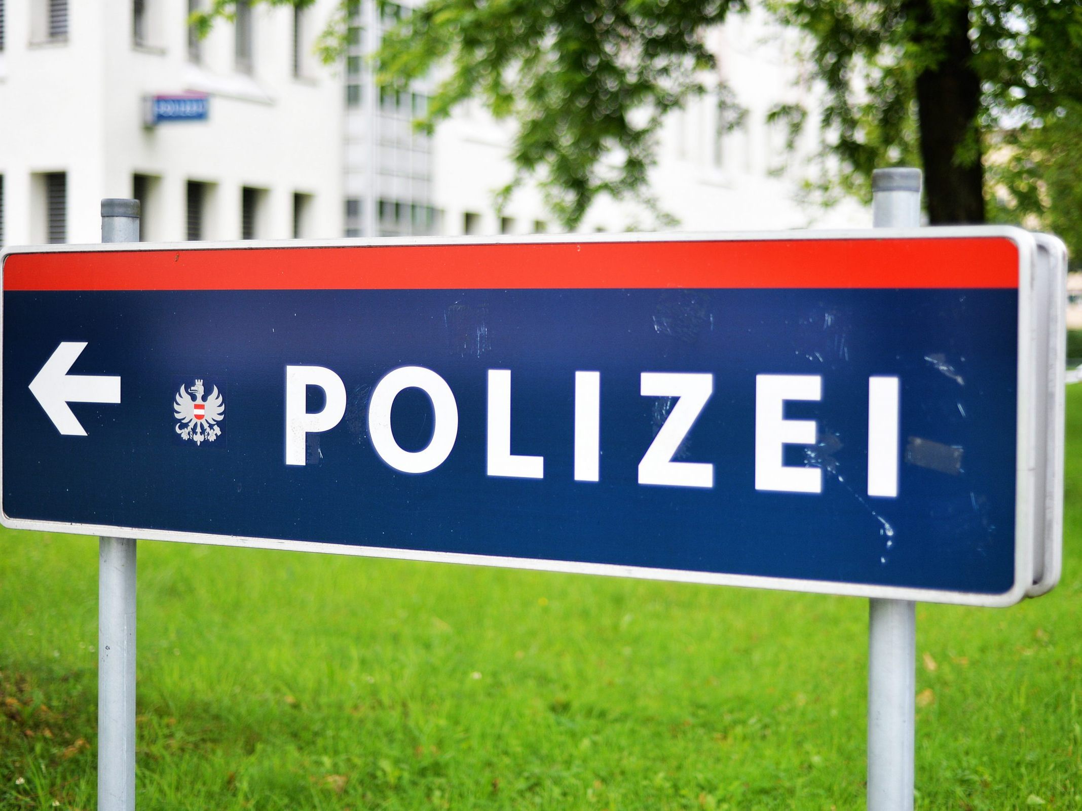 Laut niederösterreichischer Polizei war der Wagen mit 191 bzw. 193 km/h unterwegs. Laut niederösterreichischer Polizei war der Wagen mit 191 bzw. 193 km/h unterwegs.