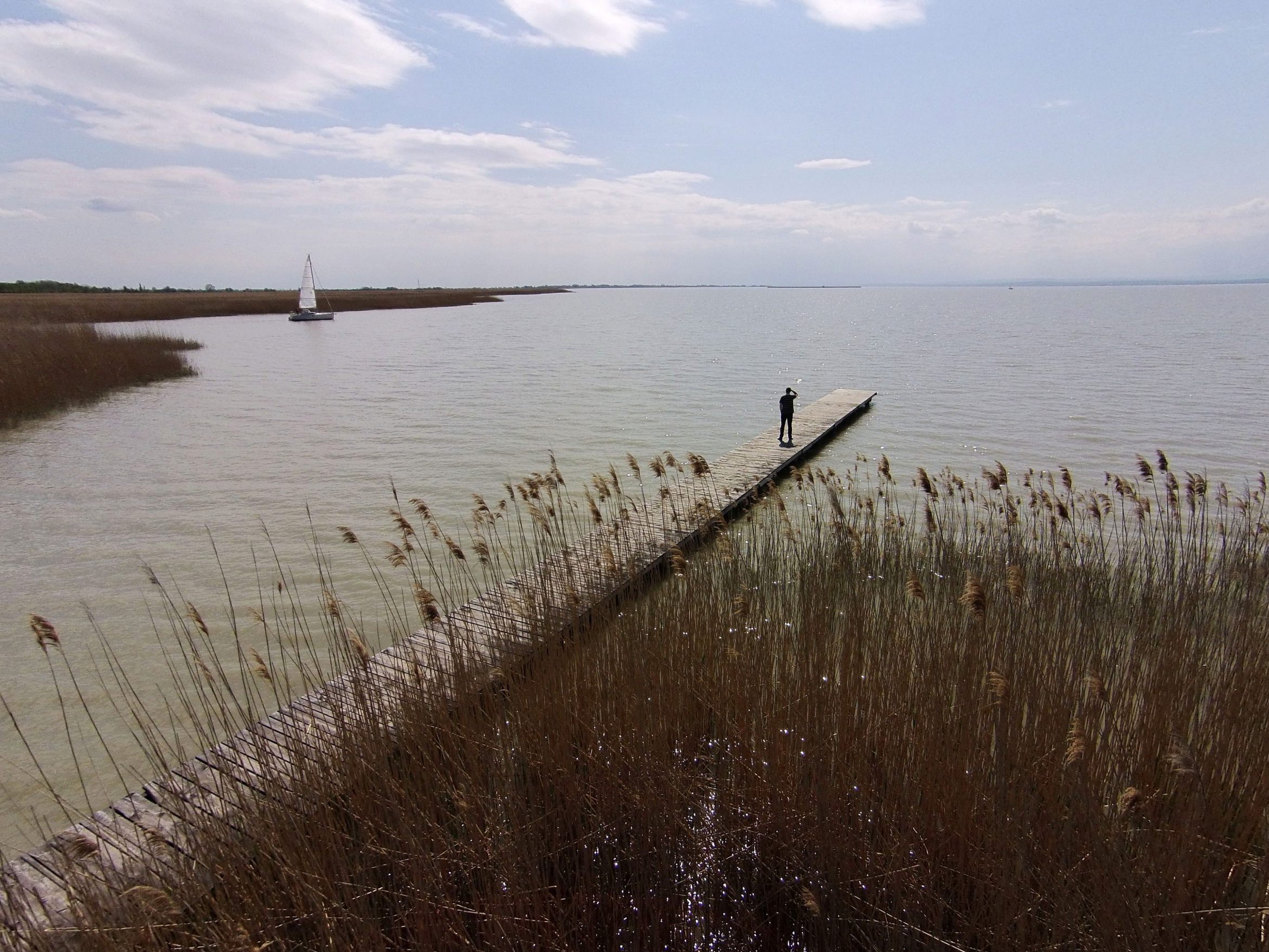 Ein Fischer entdeckte eine männliche Leiche im Neusiedler See.