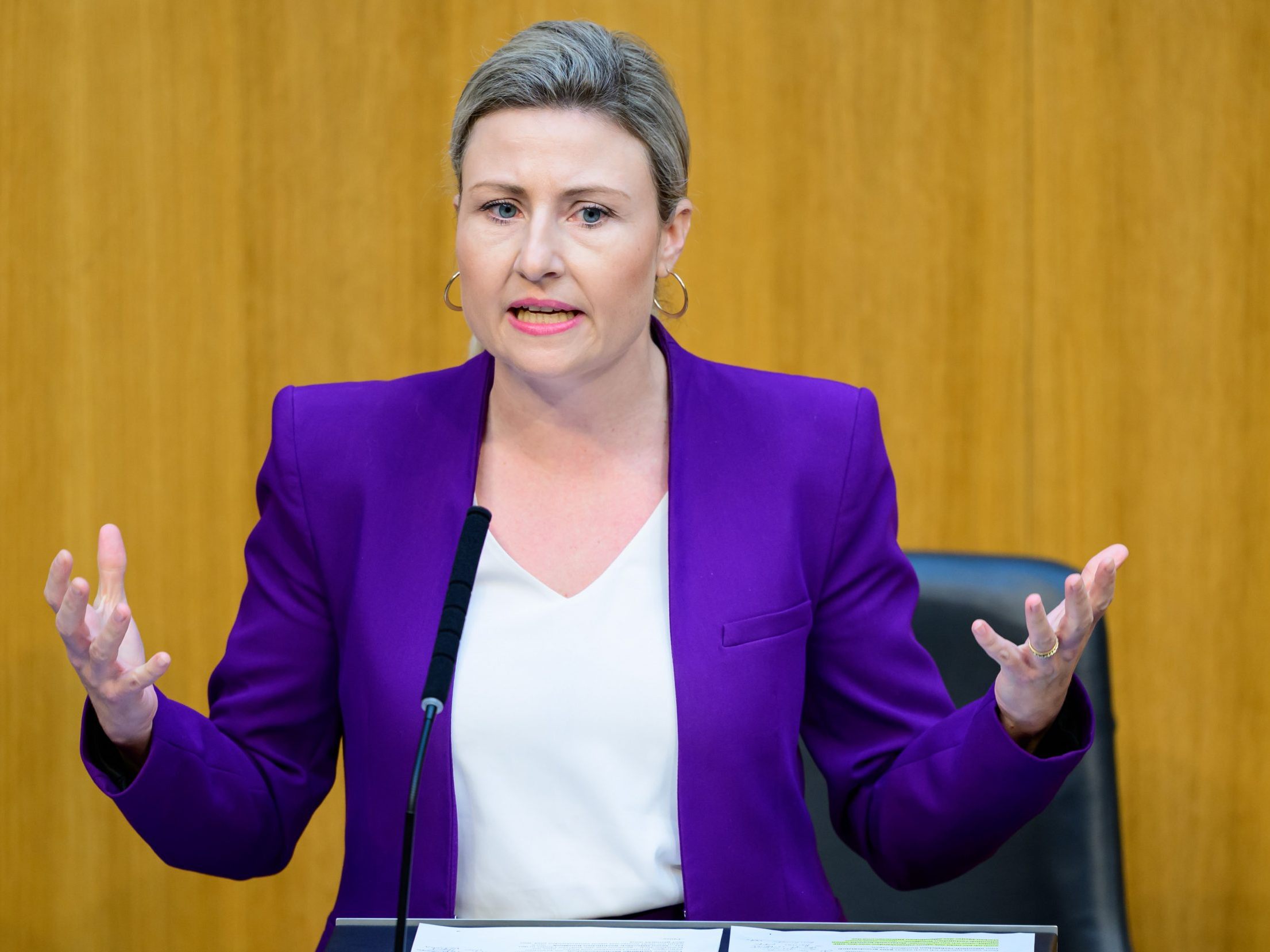 Susanna Raab gab nach einer Reihe vom Femiziden eine PK.