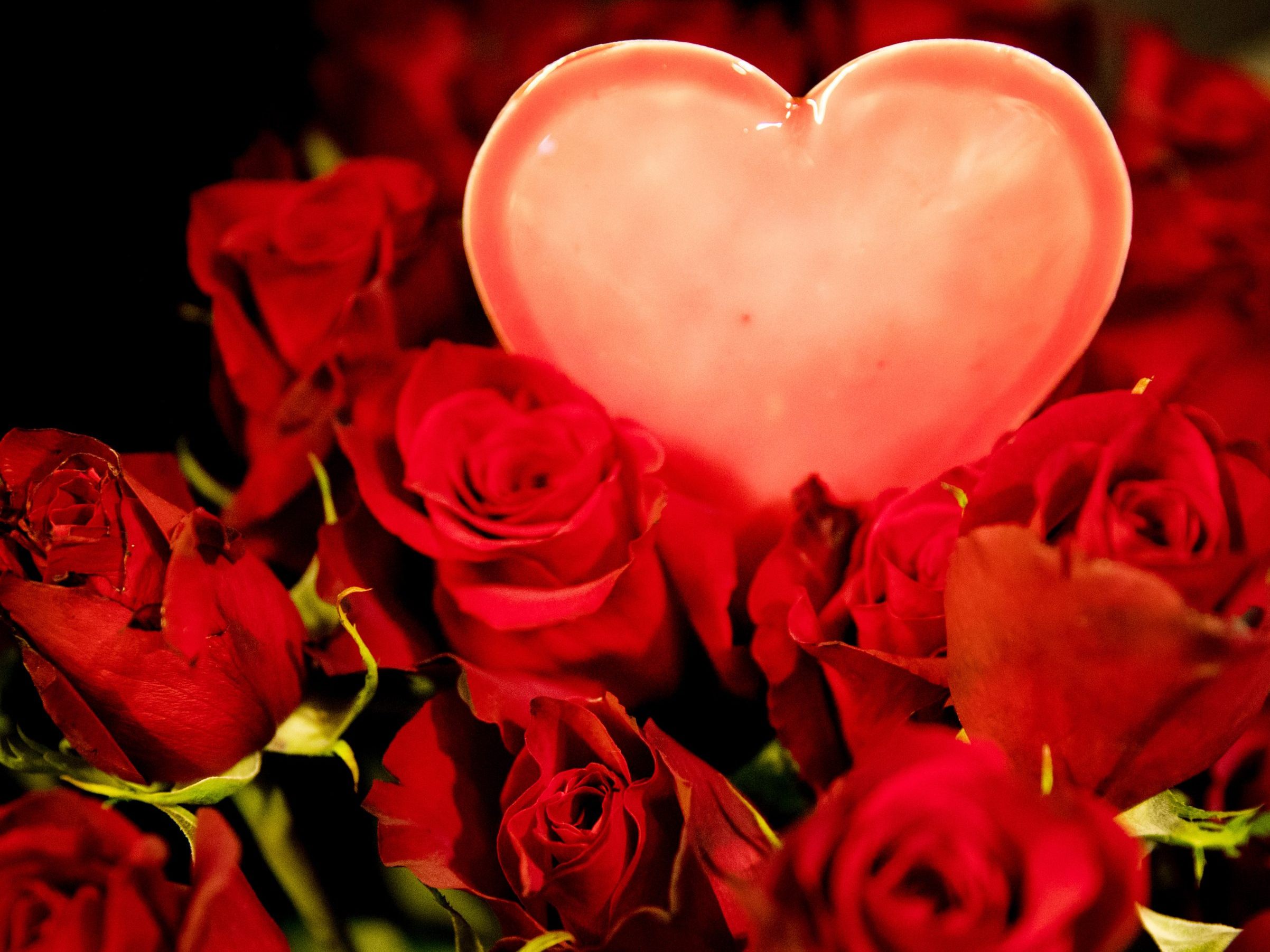 Blumen sind an der Spitze der beliebtesten Geschenke zum Valentinstag.