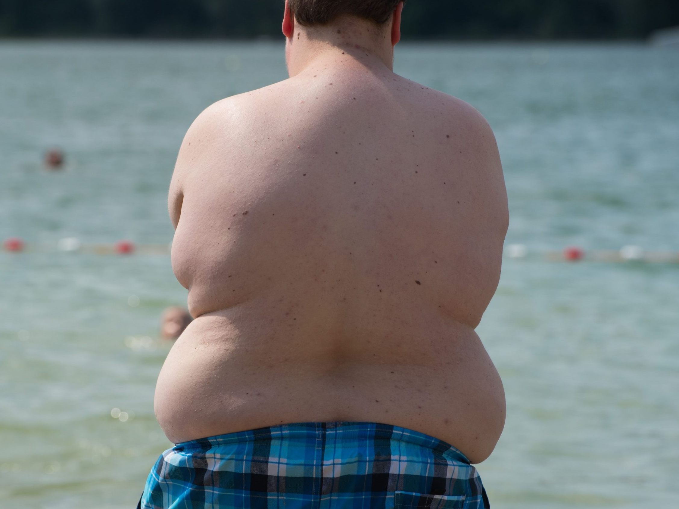 Mehr als die Hälfte der österreichischen Bevölkerung ist übergewichtig. Mehr als die Hälfte der österreichischen Bevölkerung ist übergewichtig.