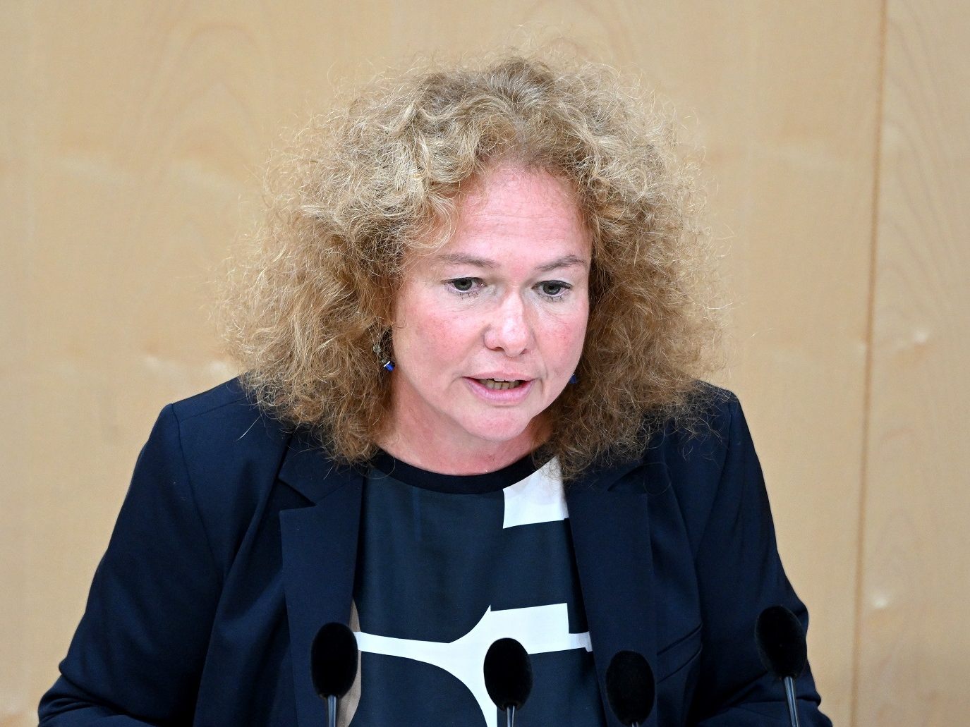 Vana tritt nicht bei Europawahl 2024 an. Vana tritt nicht bei Europawahl 2024 an.