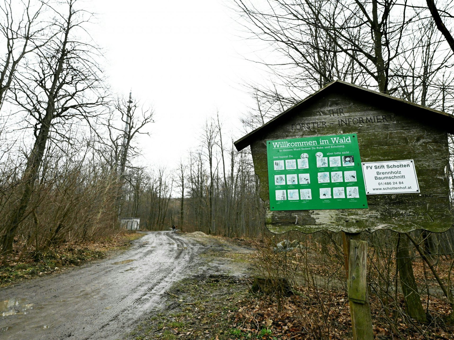 Ein Wanderweg unweit des Orts des Leichenfunds in Wien. Ein Wanderweg unweit des Orts des Leichenfunds in Wien.