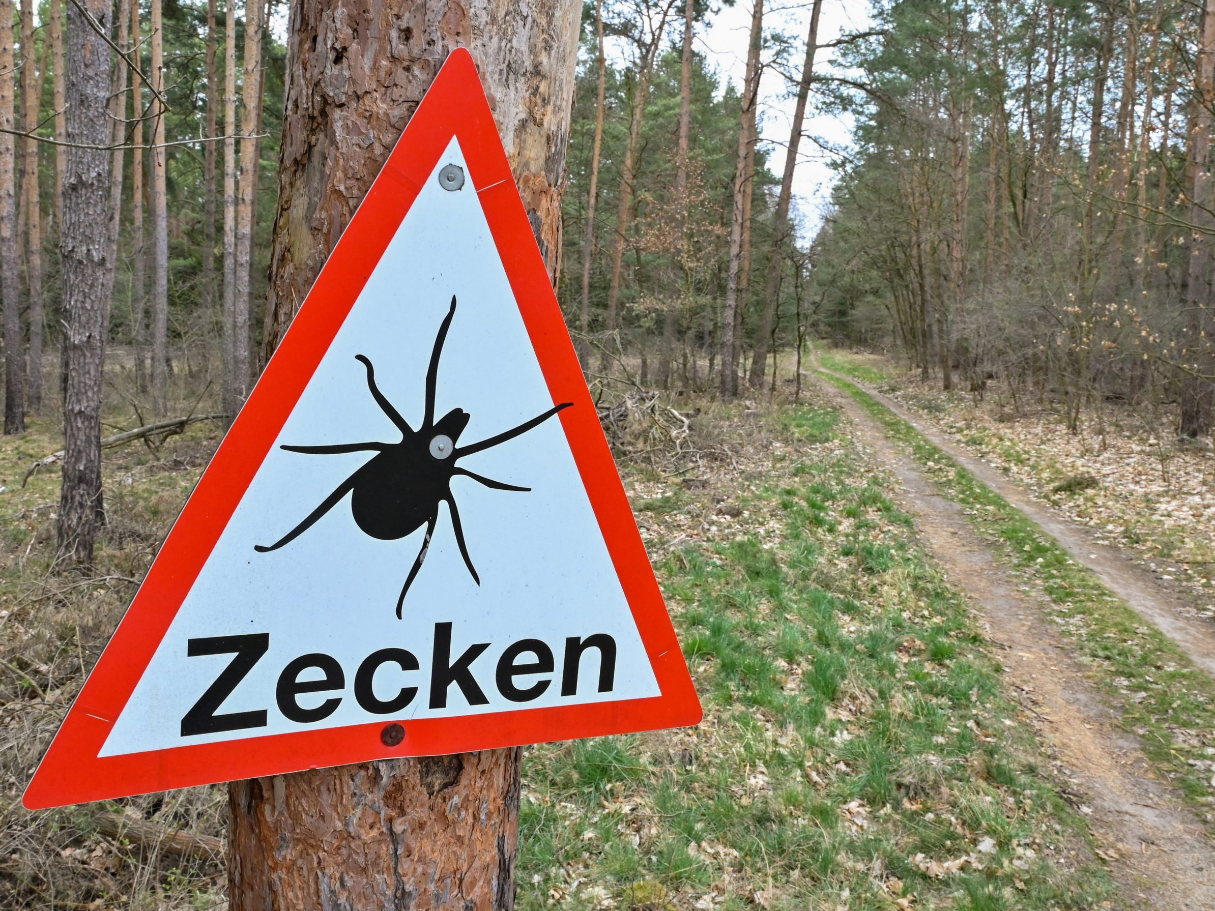 Um die Bevölkerung vor Zecken zu warnen, soll eine interaktive Karte erstellt werden. Um die Bevölkerung vor Zecken zu warnen, soll eine interaktive Karte erstellt werden.
