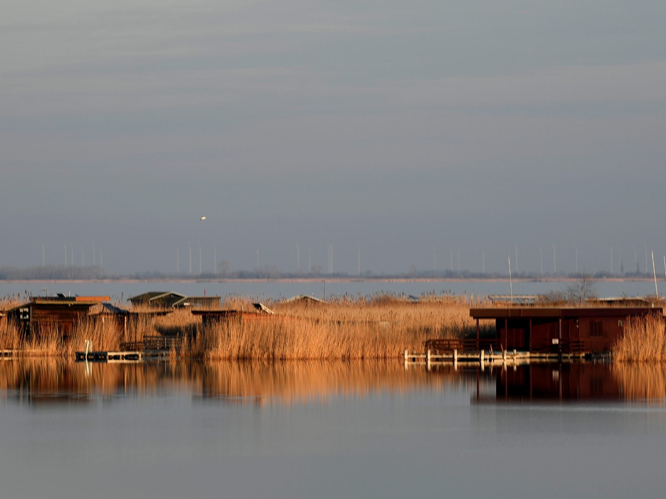 Der vermisste Eisläufer wurde im Neusiedler See gefunden.
