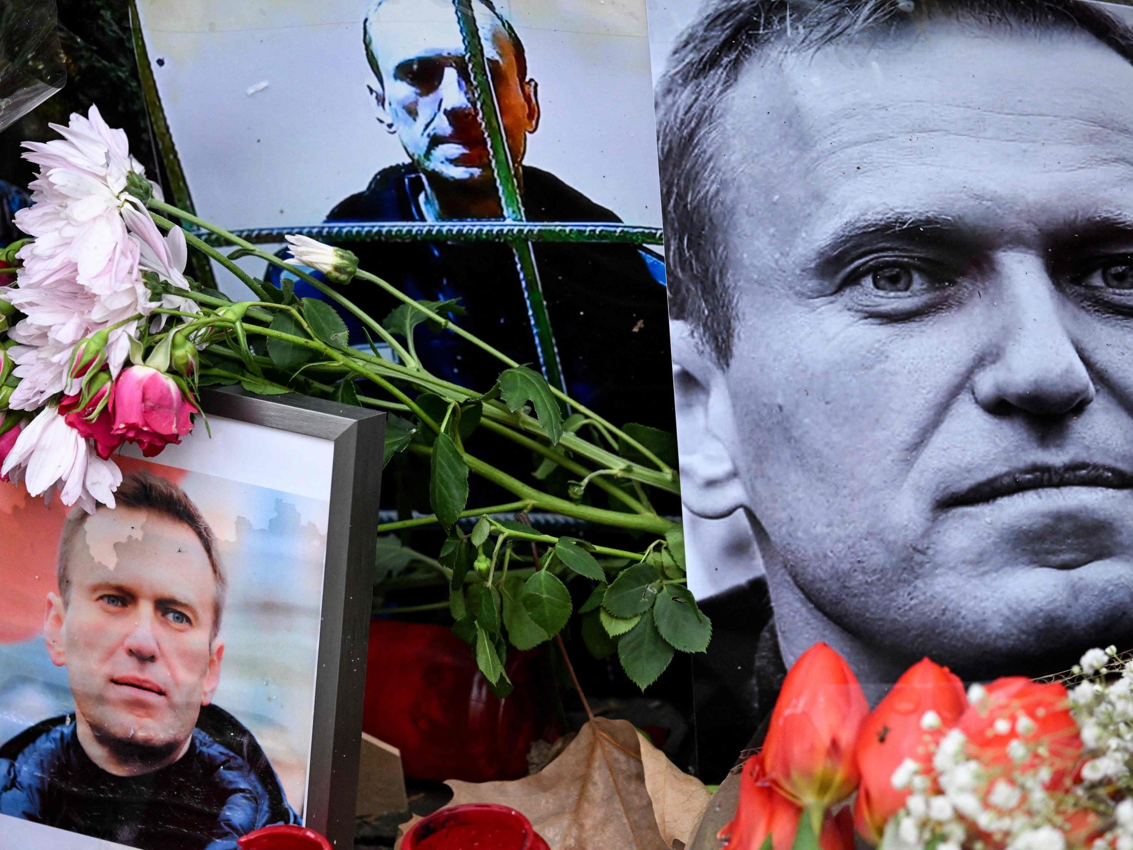 Blumen sind um Porträts des verstorbenen russischen Oppositionsführers Alexei Nawalny, der in einem russischen Gefängnis in der Arktis gestorben ist, an einem improvisierten Denkmal vor dem ehemaligen russischen Konsulat in Frankfurt am Main, Westdeutschland, am 23. Februar 2024 platziert worden. Blumen sind um Porträts des verstorbenen russischen Oppositionsführers Alexei Nawalny, der in einem russischen Gefängnis in der Arktis gestorben ist, an einem improvisierten Denkmal vor dem ehemaligen russischen Konsulat in Frankfurt am Main, Westdeutschland, am 23. Februar 2024 platziert worden.
