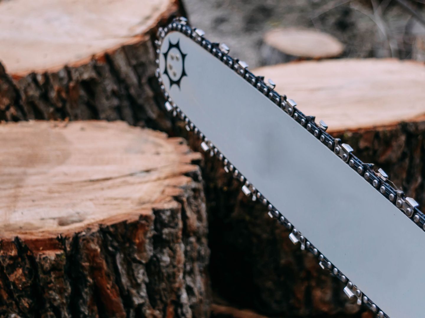 Tödlicher Forstunfall in NÖ.