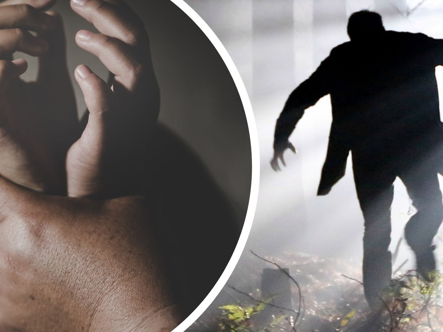 Beim Wienerberg kam es zu mehreren sexuellen Attacken gegen Frauen.