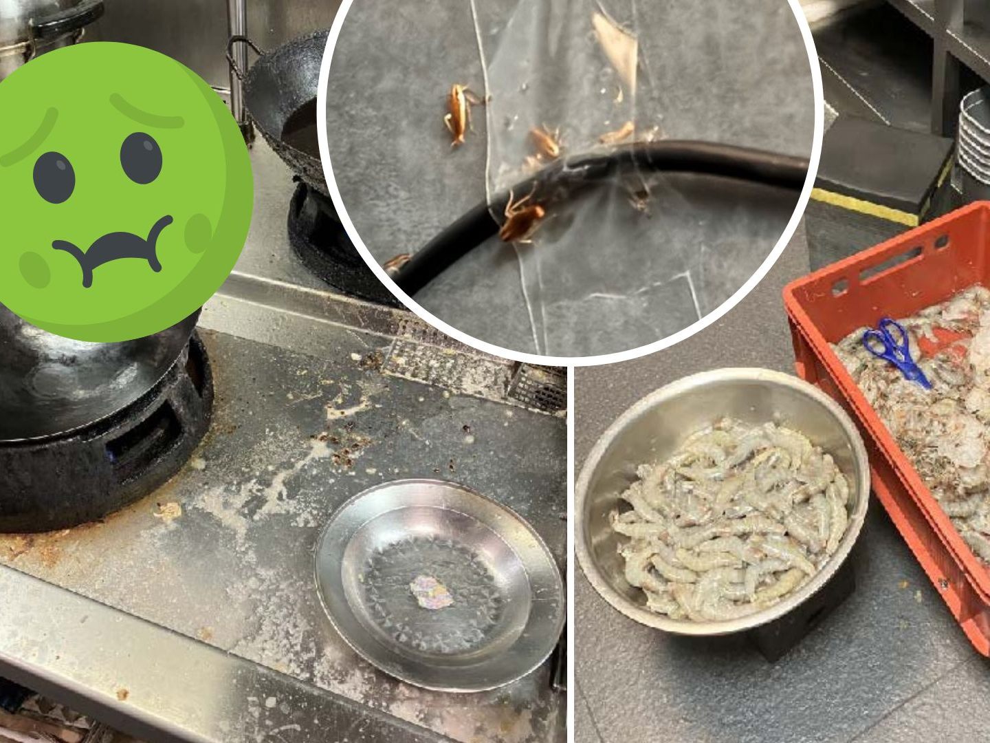 In der Küche des Restaurants herrschten horrende Hygienezustände.