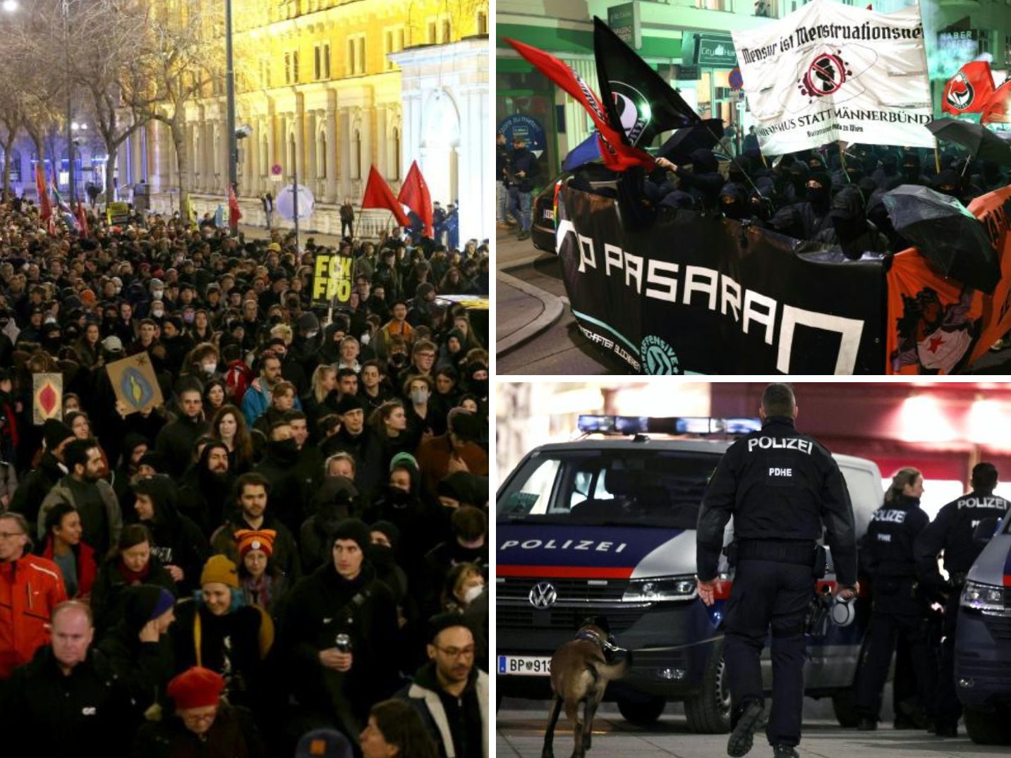 Der Akademikerball in Wien sorgt wieder für Proteste.