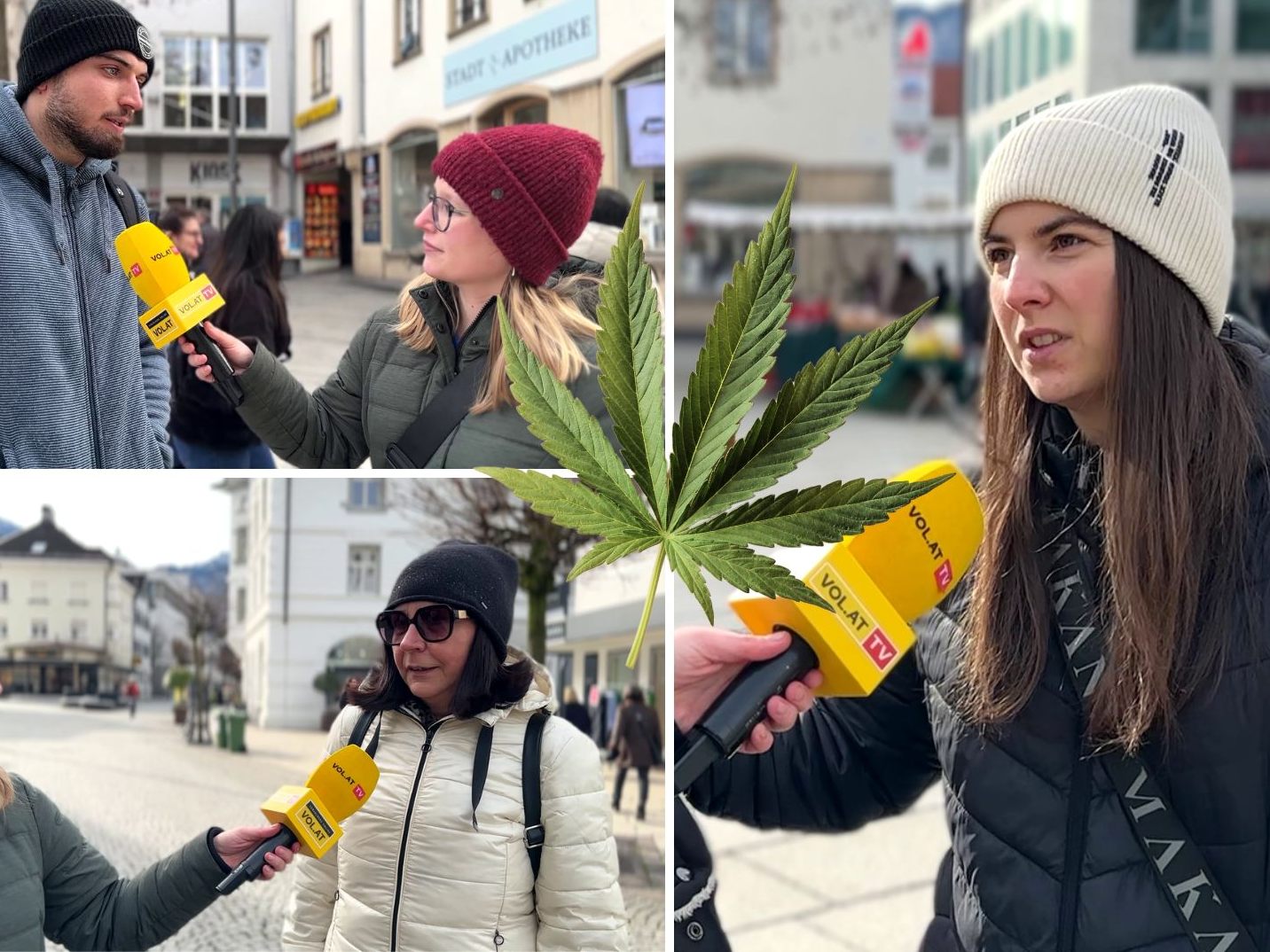 Soll Cannabis legal werden? VOL.AT hat sich umgehört.