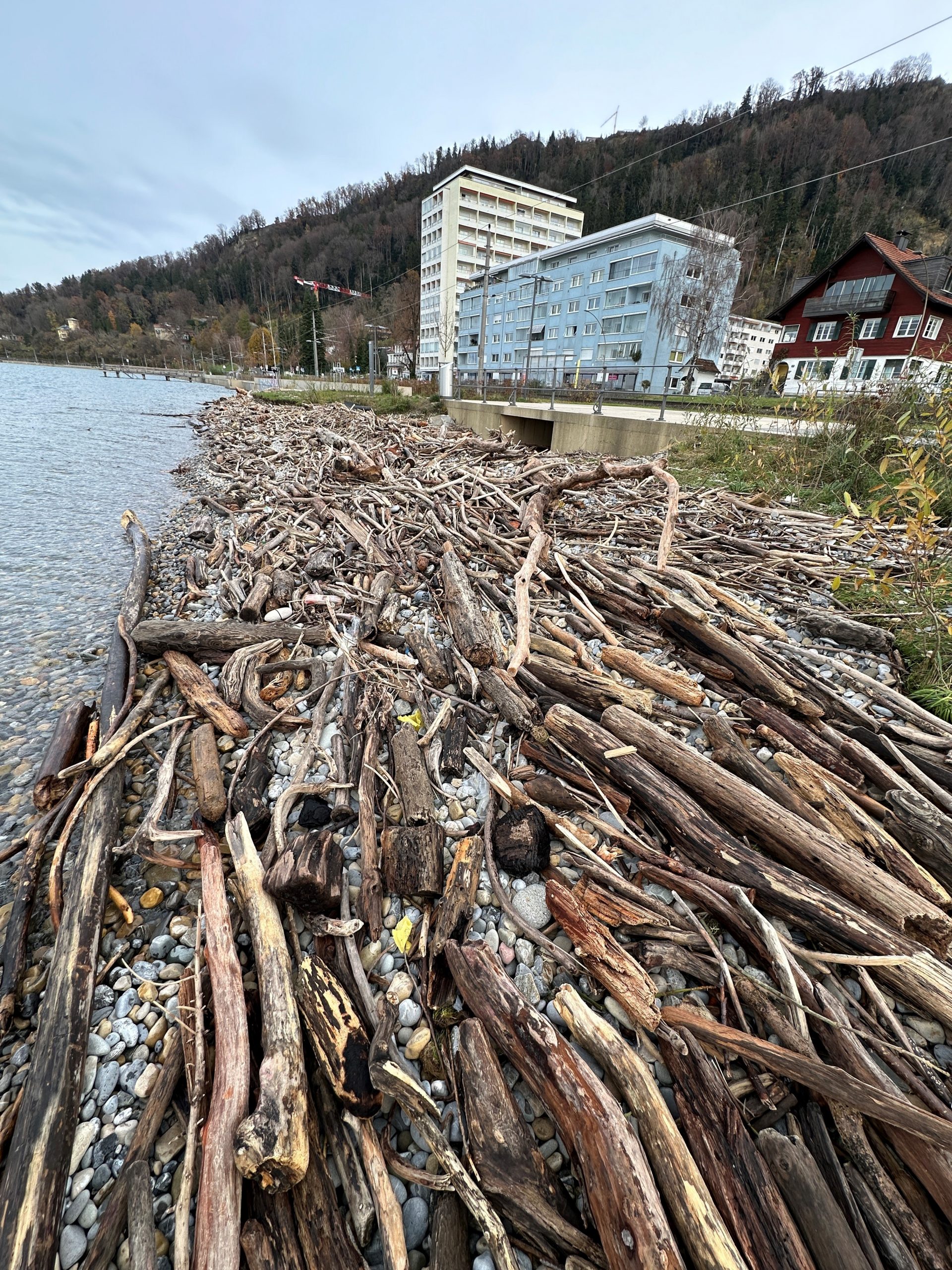 "Das Problem bei einem hohen Winterwasserstand ist: Wenn Stürme sind – die kommen von Osten – lagert sich Holz an Stellen ab, wo es sonst gar nicht hinkommt."