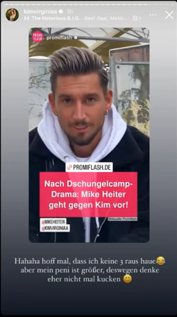 Kim Virginias Story - Reaktion auf einen Beitrag über Mike.