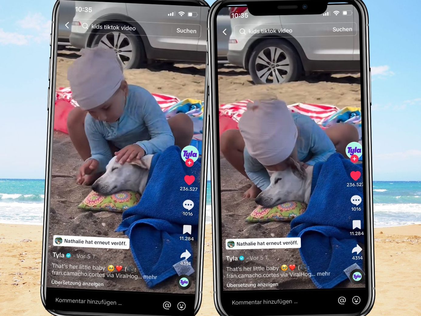 Ein herzerwärmendes Video zeigt, wie ein kleines Mädchen am Strand für einen Hund sorgt, ihm ein gemütliches Plätzchen mit Decke und Kissen bereitet und ihm mit Zuneigung und Fürsorge begegnet. Ein herzerwärmendes Video zeigt, wie ein kleines Mädchen am Strand für einen Hund sorgt, ihm ein gemütliches Plätzchen mit Decke und Kissen bereitet und ihm mit Zuneigung und Fürsorge begegnet.