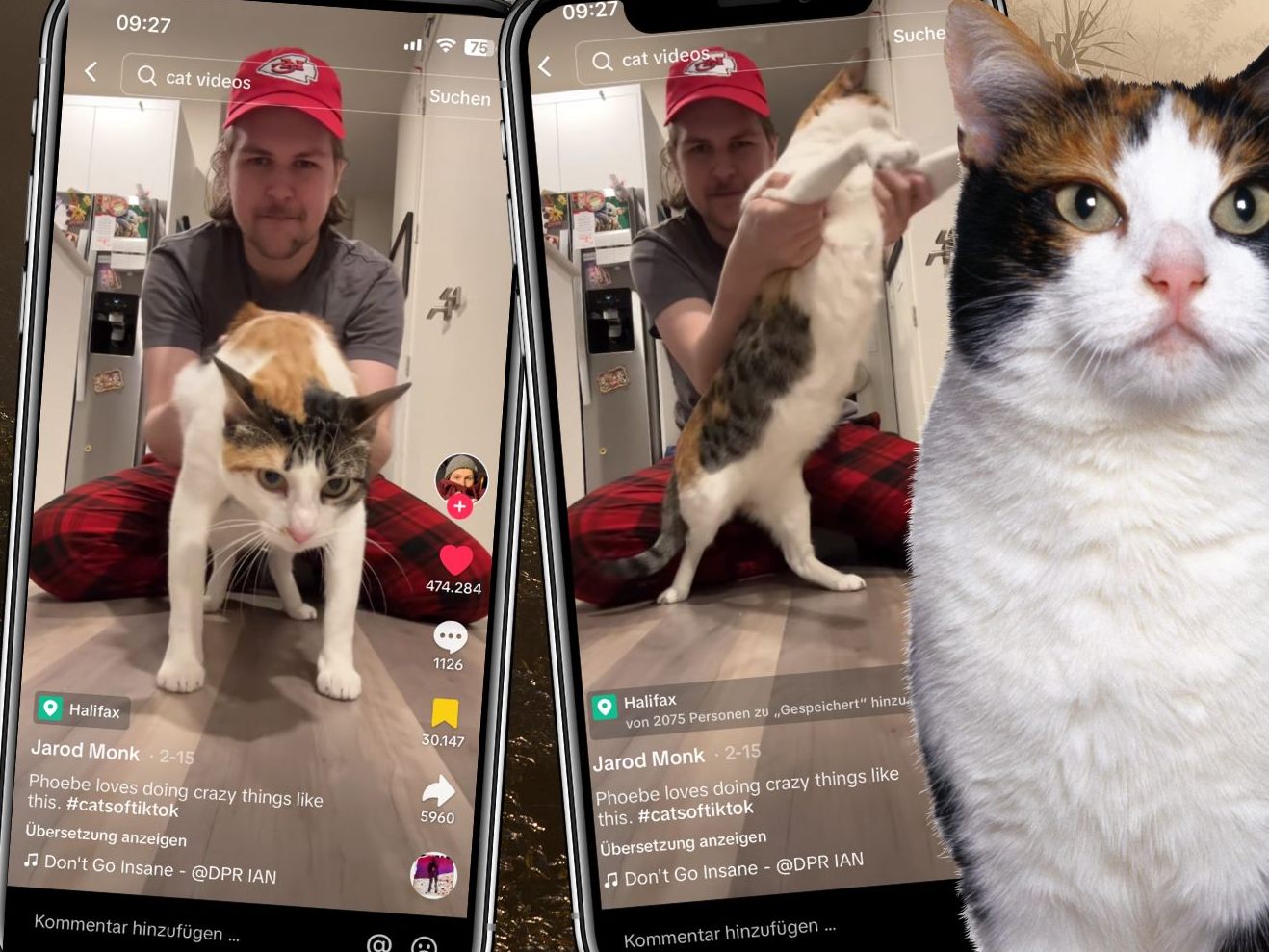 Tanzende Pfoten: Katzenbesitzer und sein Vierbeiner