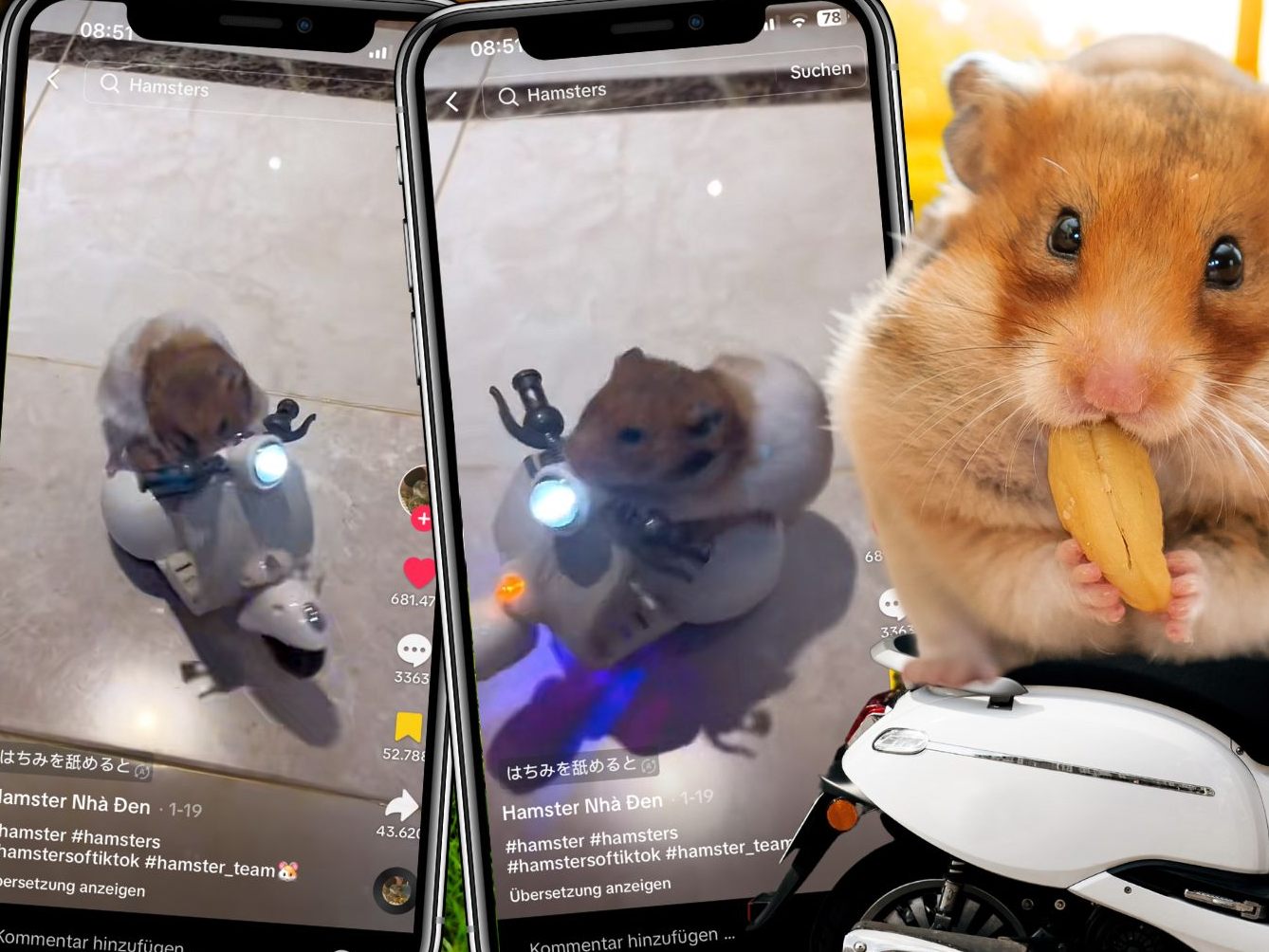 In einer Welt, in der das Außergewöhnliche oft im Kleinsten zu finden ist, hat ein winziger Hamster das Internet im Sturm erobert. In einer Welt, in der das Außergewöhnliche oft im Kleinsten zu finden ist, hat ein winziger Hamster das Internet im Sturm erobert.