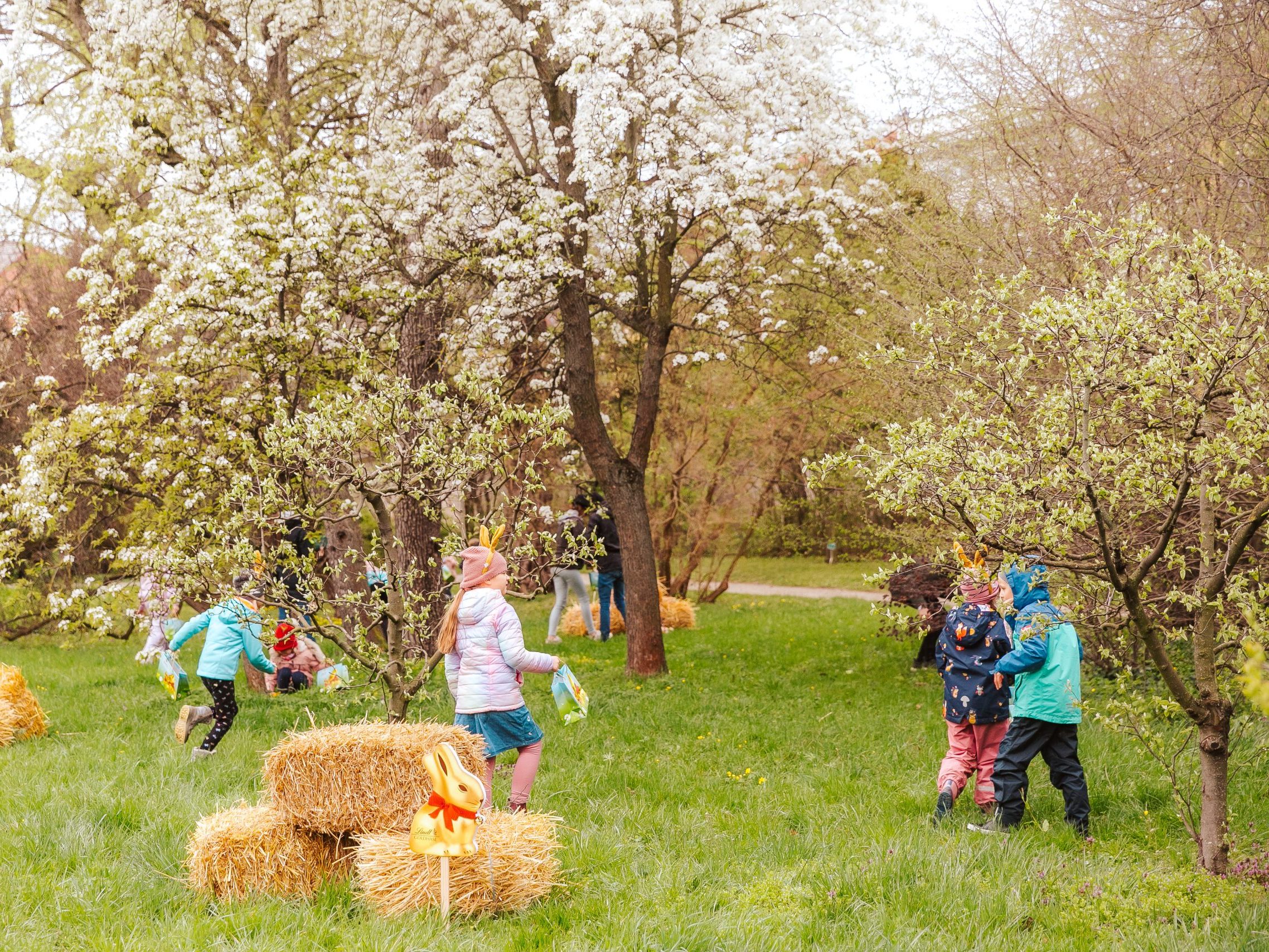 Auch heuer findet wieder das Lindt Goldhasenfest im Botanischen Garten im Schlosspark Schönbrunn in Wien statt.