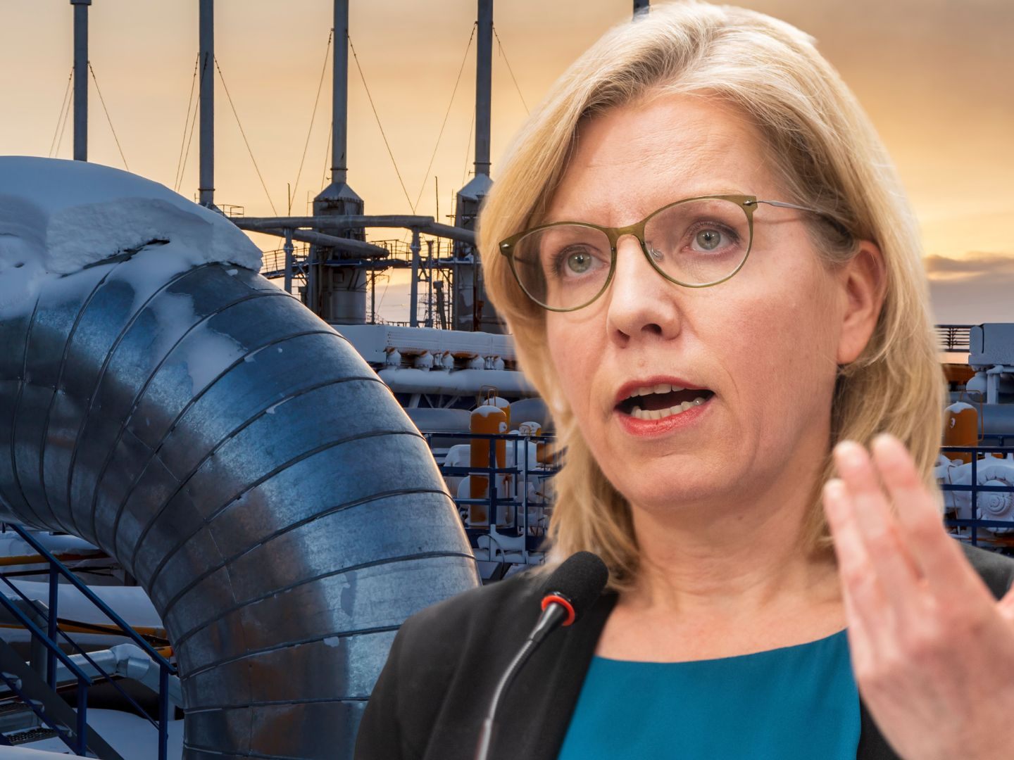 Gasversorger sollen gesetzlich zur Diversifizierung verpflichtet werden