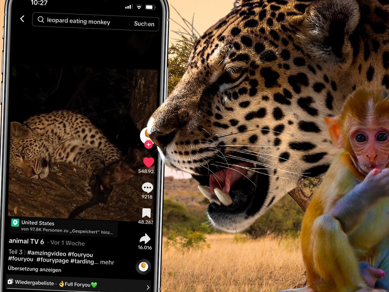 In einer bemerkenswerten Begegnung, die die Herzen von Naturliebhabern erwärmen dürfte, zeigt ein Leopard eine unerwartete Seite der Fürsorge, indem er sich eines verwaisten Affenbabys annimmt. In einer bemerkenswerten Begegnung, die die Herzen von Naturliebhabern erwärmen dürfte, zeigt ein Leopard eine unerwartete Seite der Fürsorge, indem er sich eines verwaisten Affenbabys annimmt.