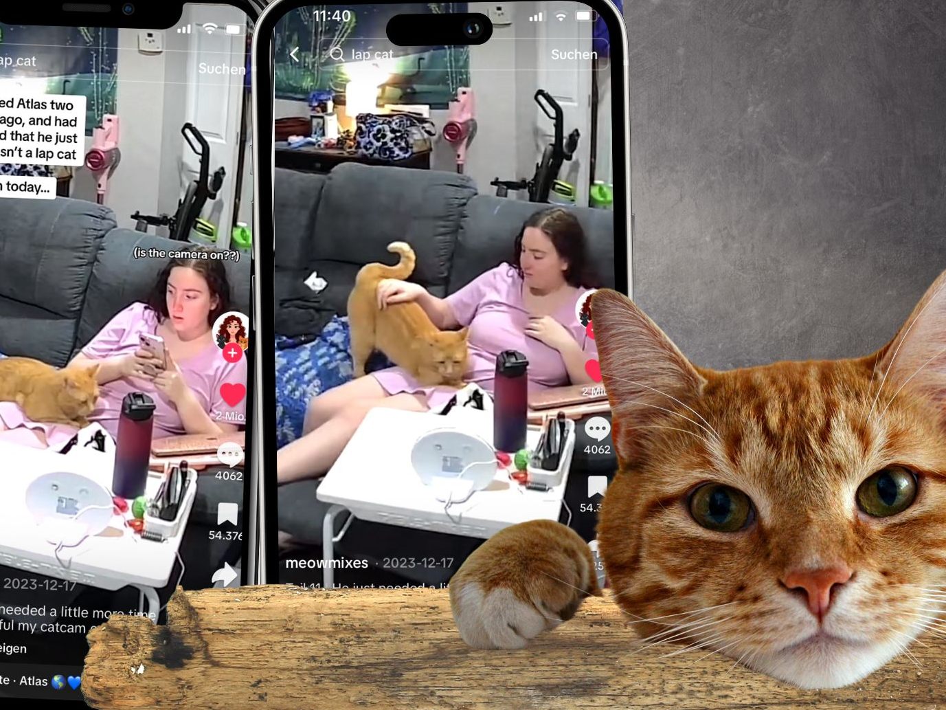 In einem herzerwärmenden Video, das die besondere Beziehung zwischen einer Frau und ihrer einst distanzierten Katze zeigt, erleben wir einen seltenen Moment tierischer Zuneigung. In einem herzerwärmenden Video, das die besondere Beziehung zwischen einer Frau und ihrer einst distanzierten Katze zeigt, erleben wir einen seltenen Moment tierischer Zuneigung.