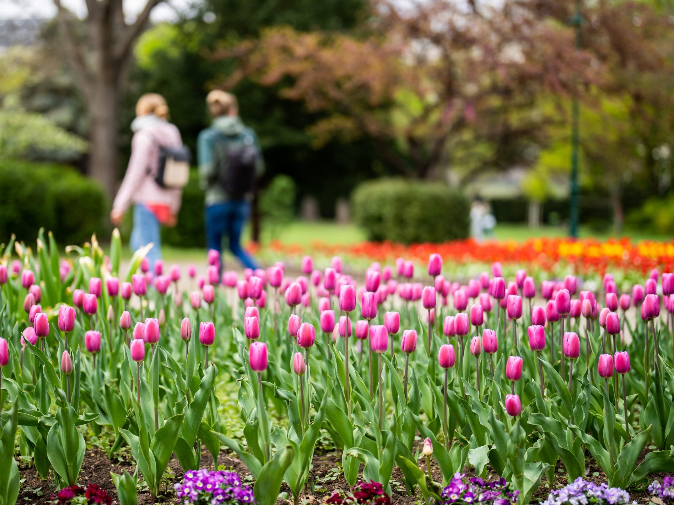 Nach einem kühlen Start steigen die Temperaturen im Laufe der Karwoche spürbar an. Nach einem kühlen Start steigen die Temperaturen im Laufe der Karwoche spürbar an.