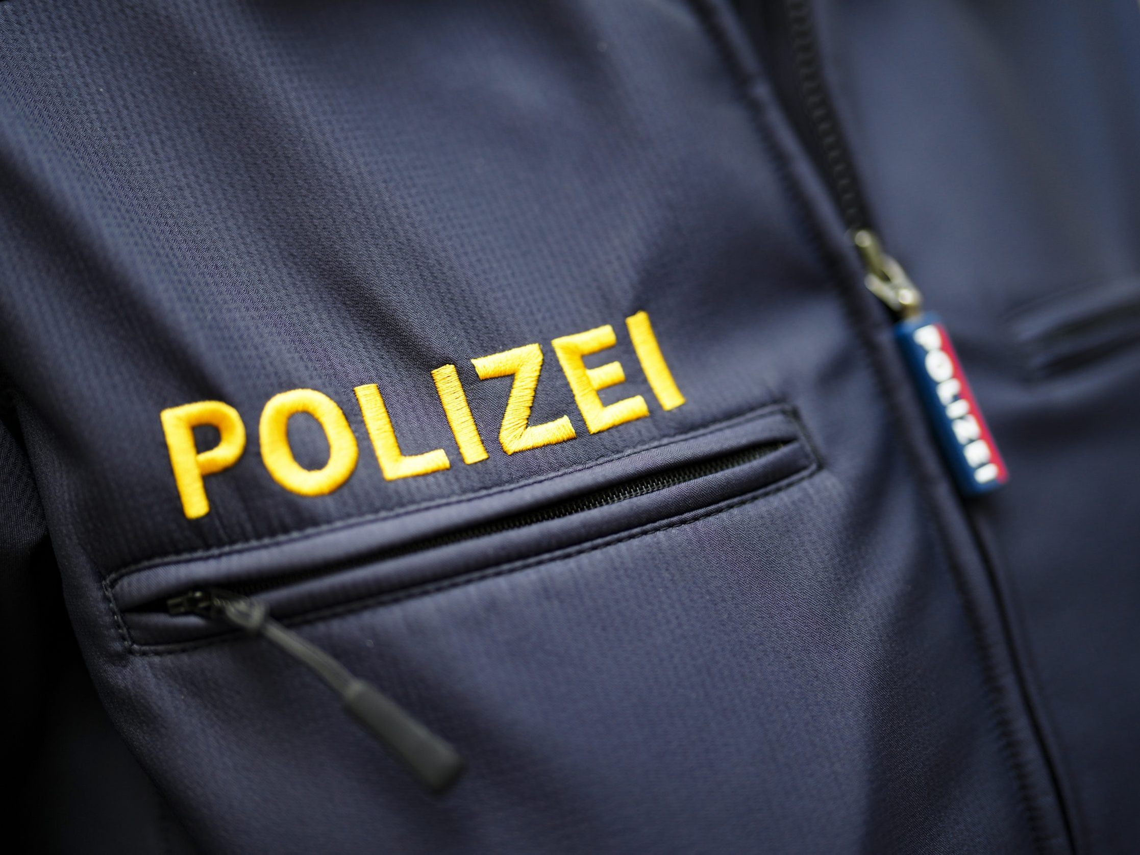 Die Wiener Polizei verhaftete einen Verdächtigen.