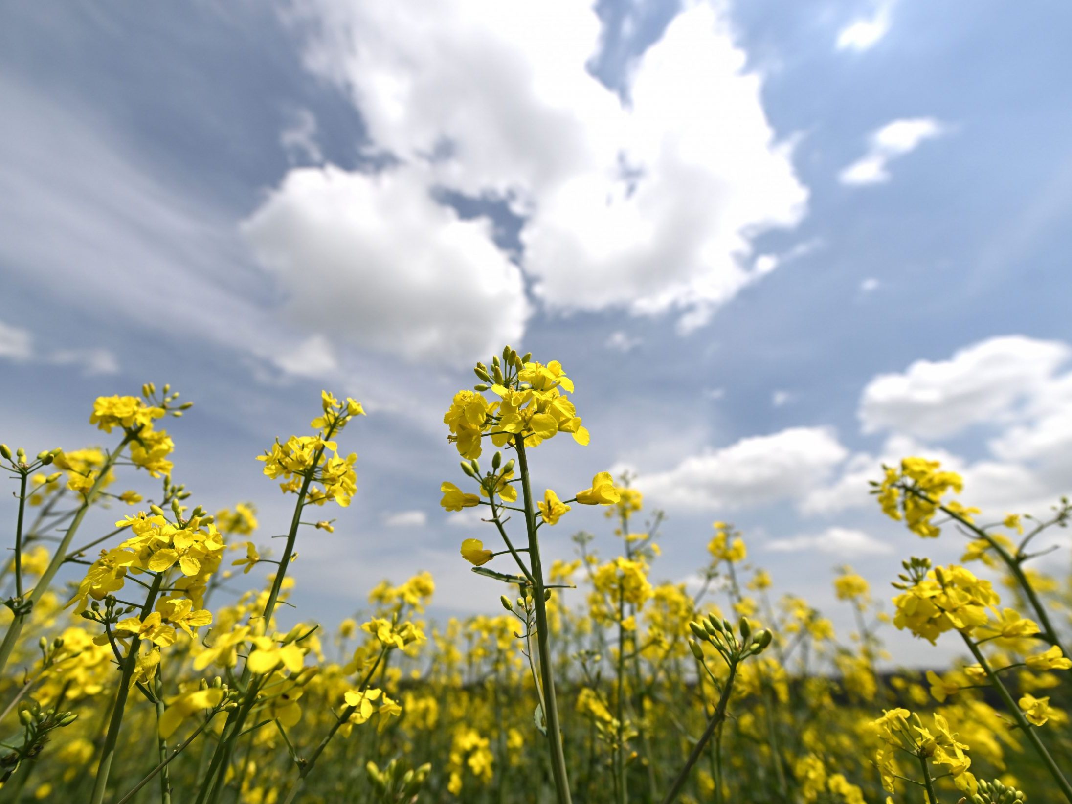 Am Wochenende bewegen sich die Temperaturen um die 15 Grad. Am Wochenende bewegen sich die Temperaturen um die 15 Grad.