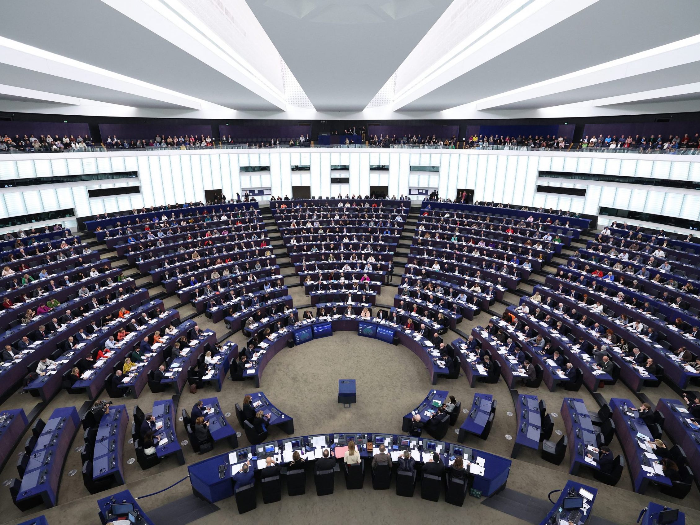 Bei der EU-Wahl entscheiden die Europäer über das Europäische Parlament.