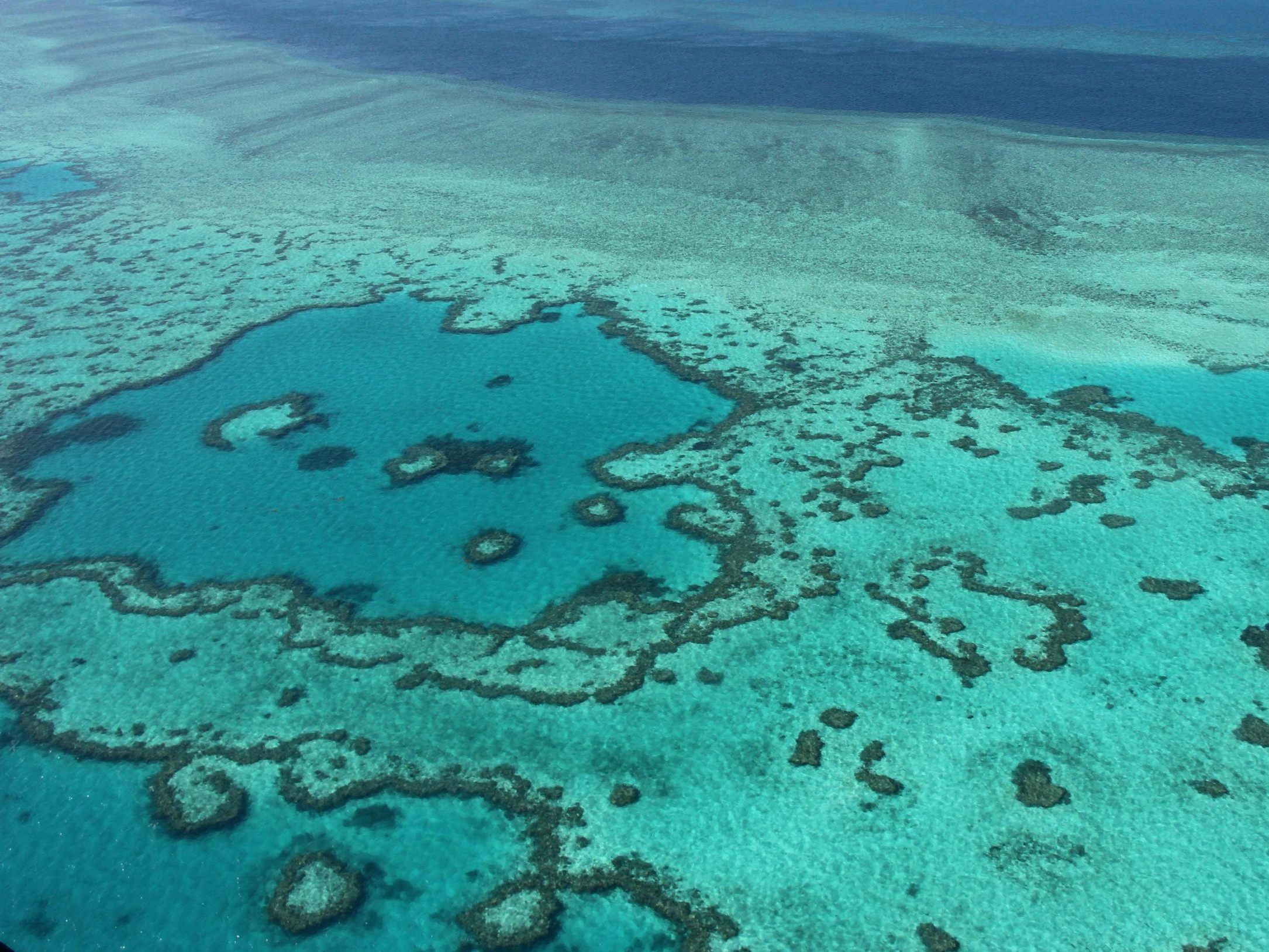 Das Great Barrier Reef erlebt eine verheerende Korallenbleiche. Das Great Barrier Reef erlebt eine verheerende Korallenbleiche.