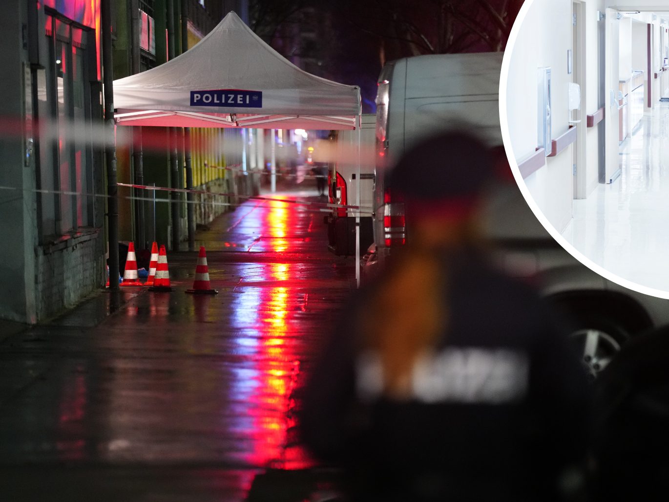 Der Verdächtige soll nun auch eine Wiener Ärztin attackiert haben.