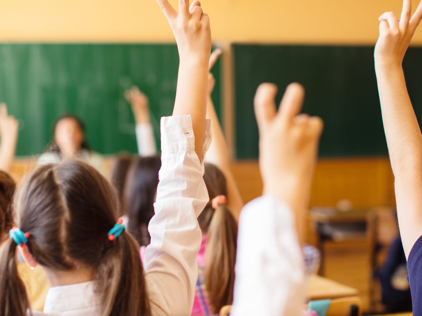 Die erste Orientierungsklasse für Quereinsteiger in Wien ist gestartet.