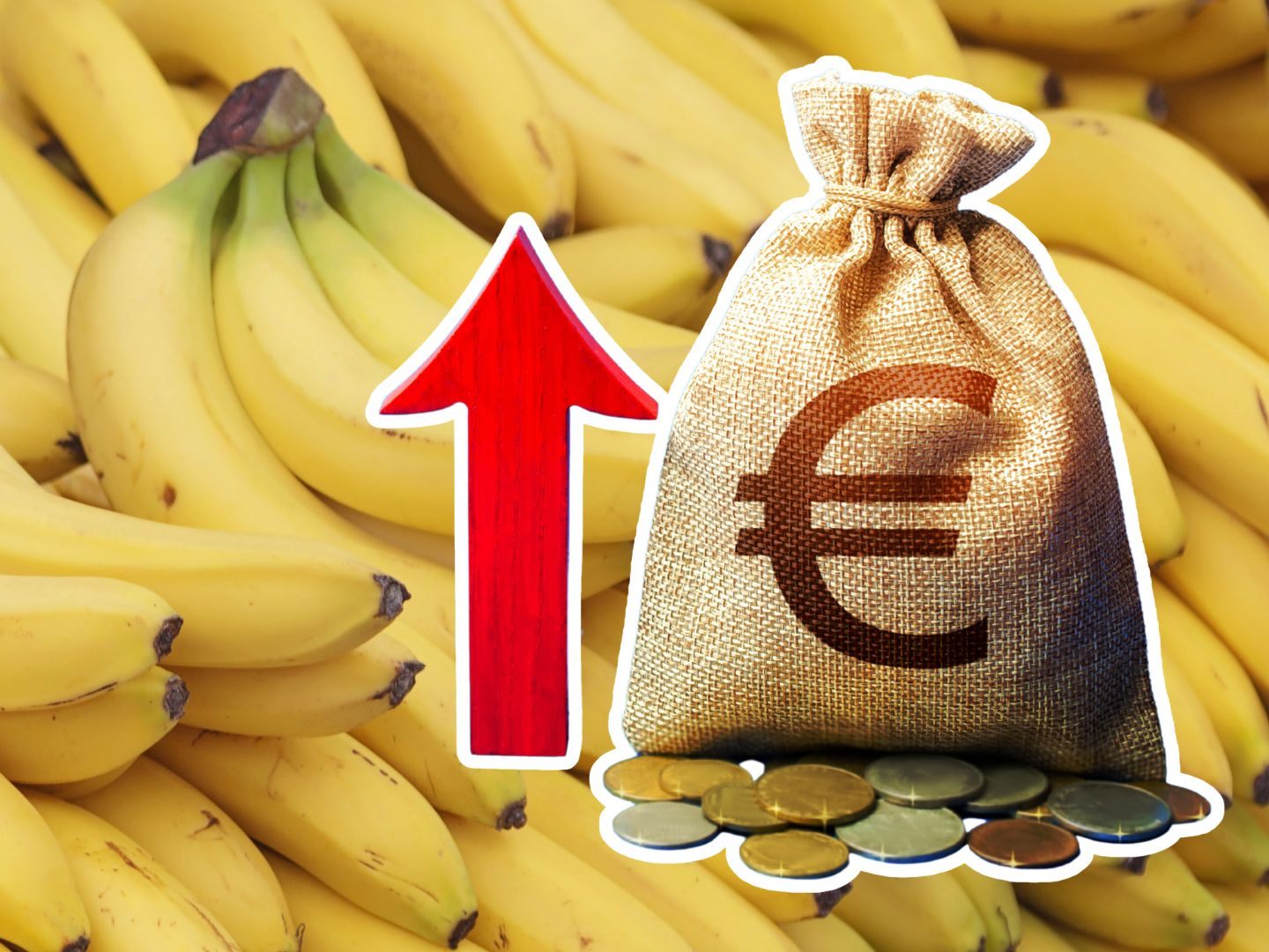 Bananenpreise werden bei steigenden Temperaturen weiter in die Höhe klettern. Bananenpreise werden bei steigenden Temperaturen weiter in die Höhe klettern.