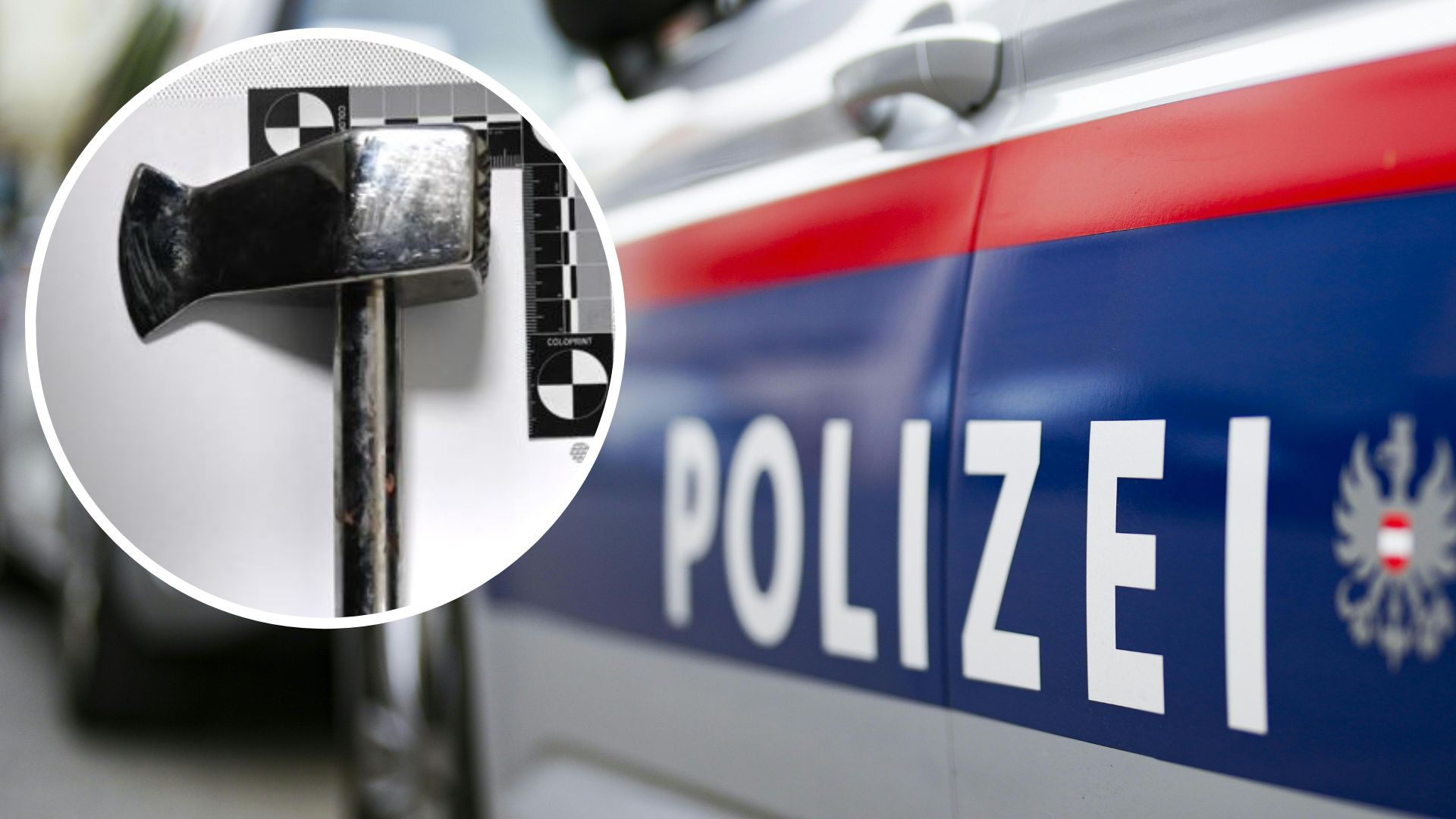 10.935 Menschen in Wien besitzen einen Waffenpass Österreich VIENNA.AT