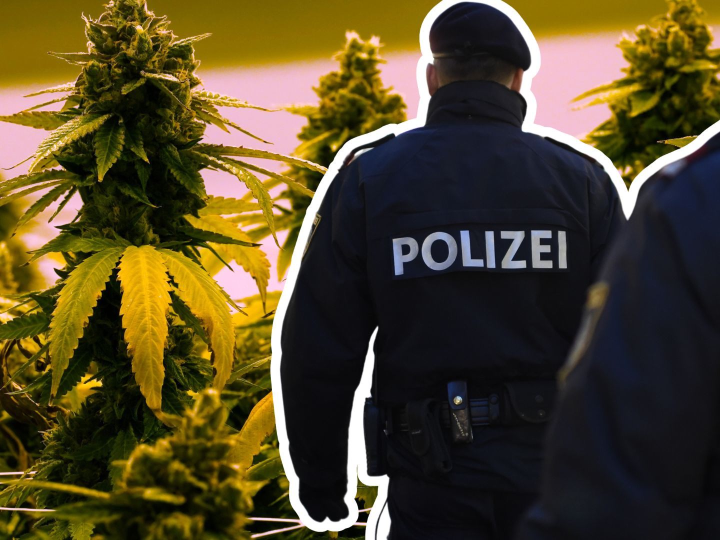 Der Straßenverkaufswert der Drogen betrug 450.000 Euro.