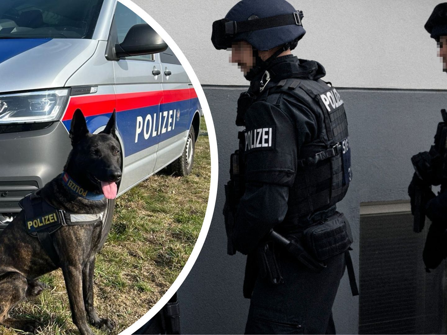 Ein Einbrechertrio wurde von der Polizei auf frischer Tat ertappt und festgenommen.