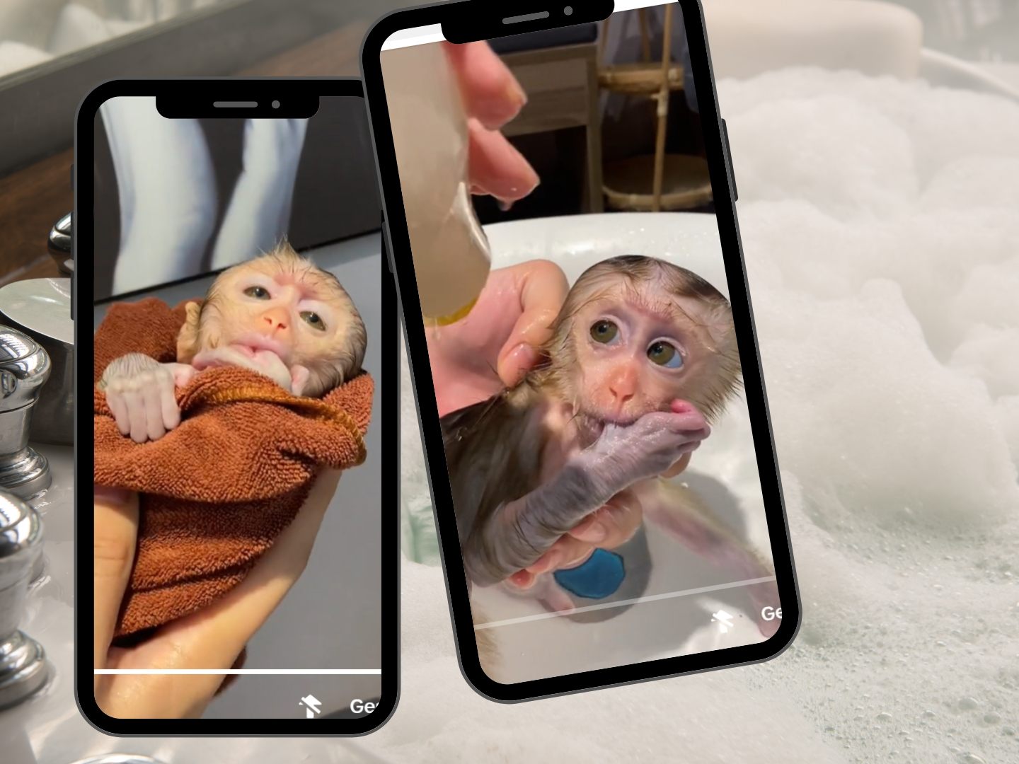 Affenbaby in Badewanne