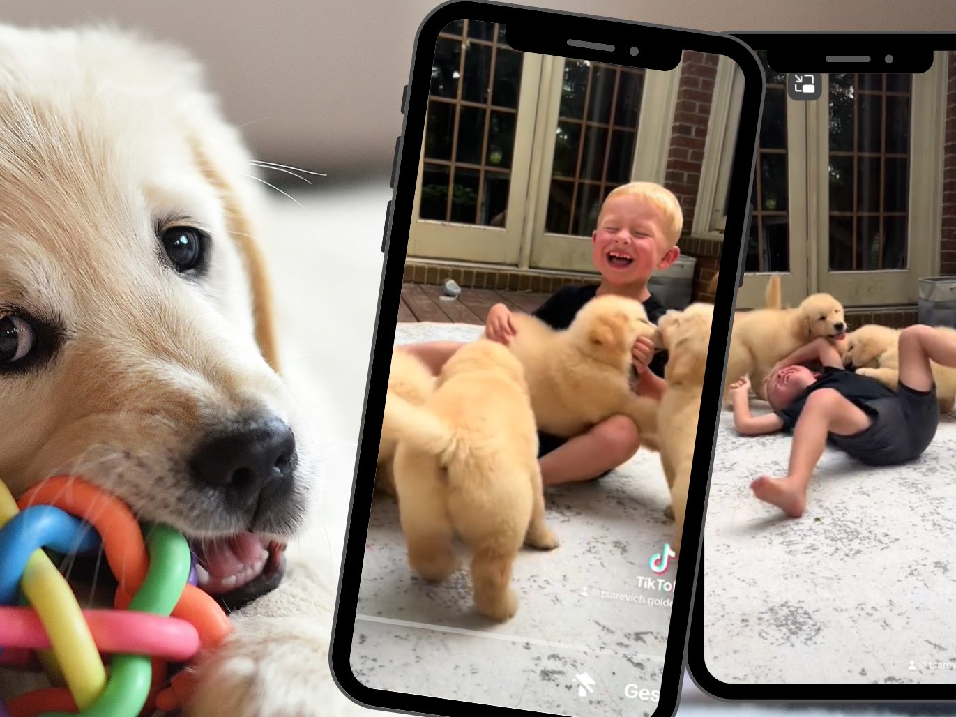 Zuckersüßes TikTok erobert Millionen Herzen Zuckersüßes TikTok erobert Millionen Herzen