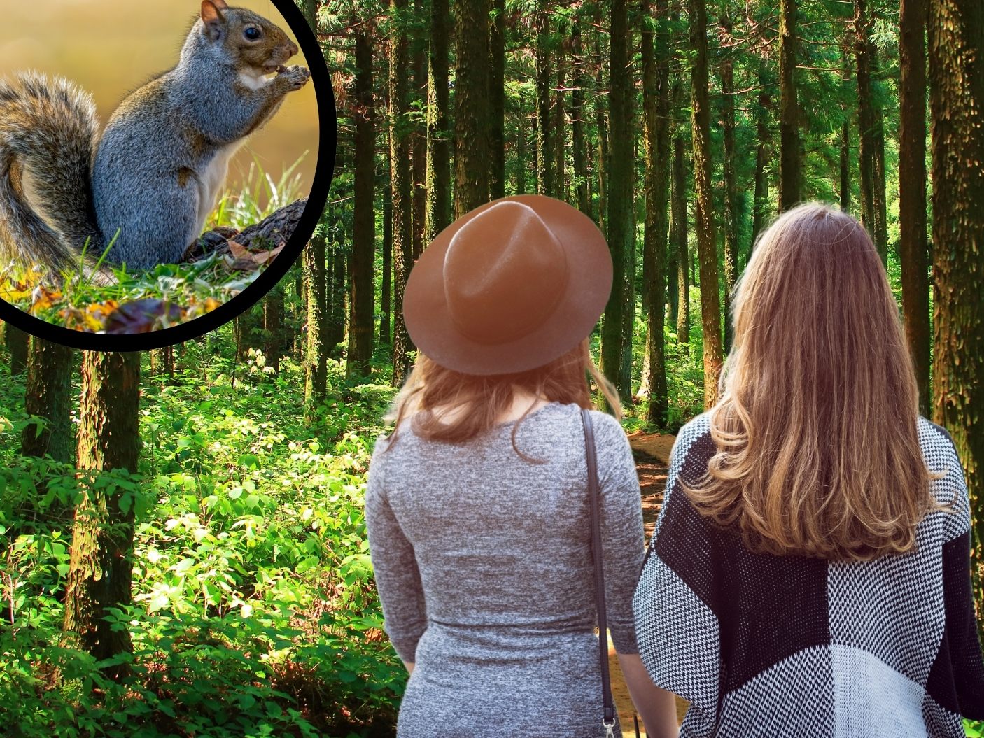 Ein Meilesntein für den "Green Deal" und die biologische Vielfalt (Symbolbild)