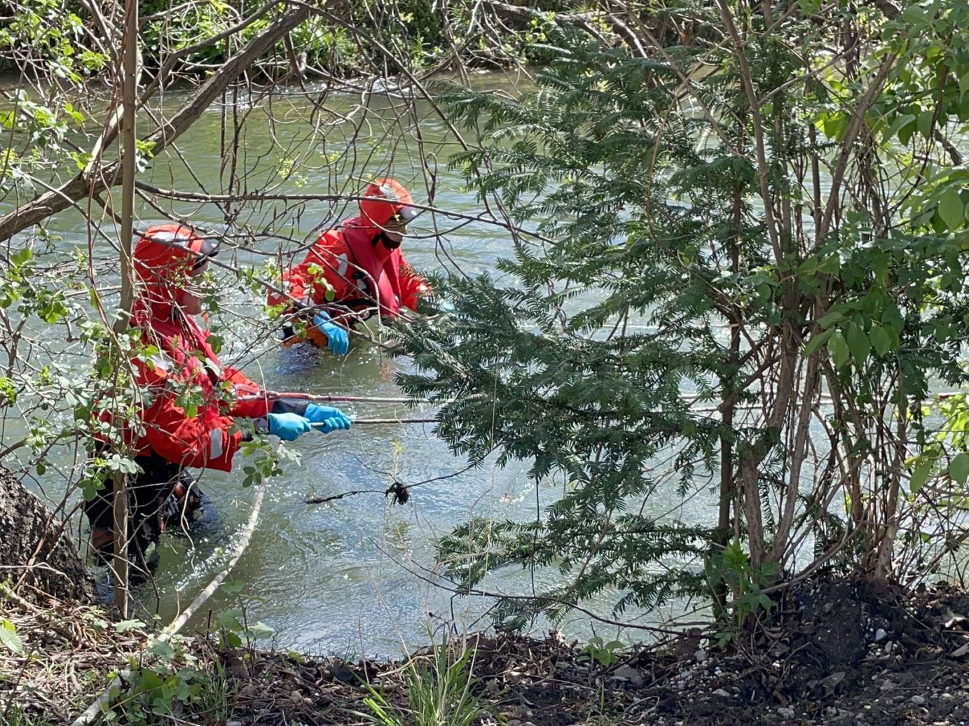 Die Freiwillige Feuerwehr Wiener Neustadt barg ein totes Reh aus dem Kehrbach. Die Freiwillige Feuerwehr Wiener Neustadt barg ein totes Reh aus dem Kehrbach.
