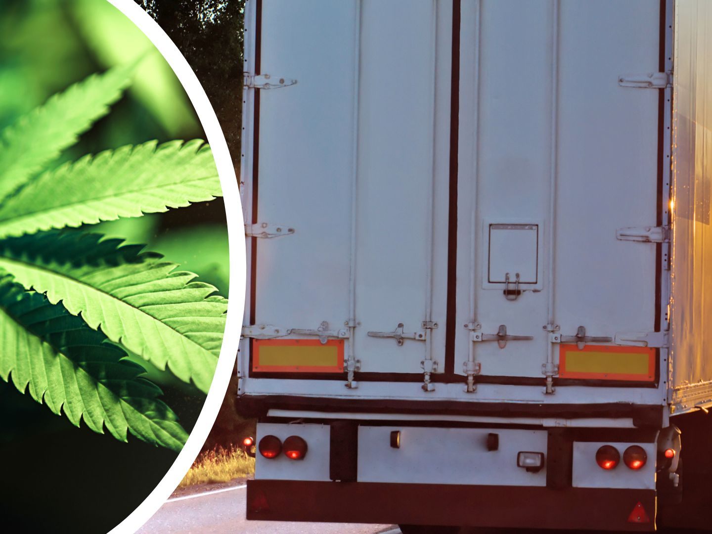 Lkw in Tirol mit Marihuana im Wert von einer Mio. Euro gestoppt