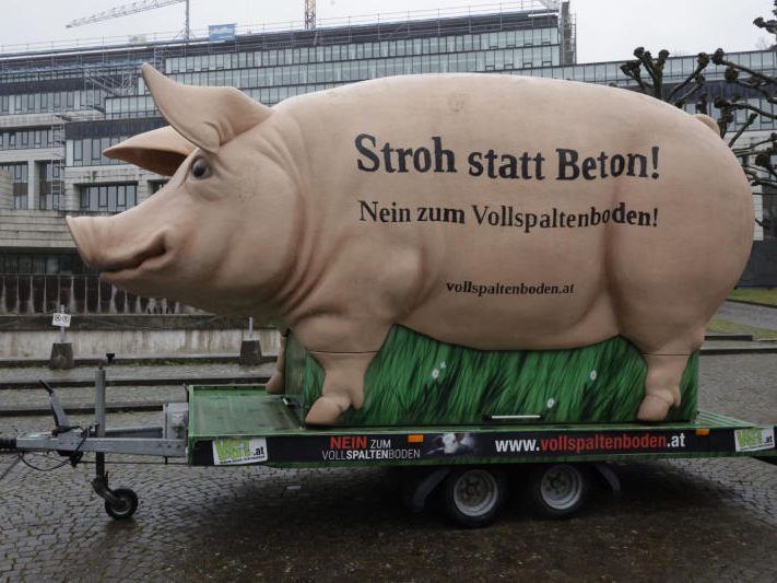 VGT Nein zu Vollspaltböden Aktion Kundgebung vor dem Landhaus. VGT Nein zu Vollspaltböden Aktion Kundgebung vor dem Landhaus.