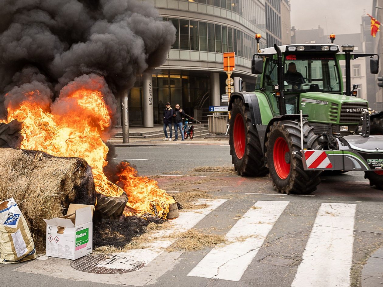 Bei den Bauernprotesten in Brüssel kam es zu bizarren Szenen.
