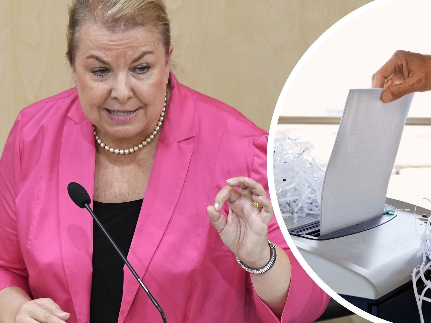 Vor der Übergabe der Akten an das Staatsarchiv soll Ex-FPÖ-Gesundheitsministerin diese vernichtet haben.