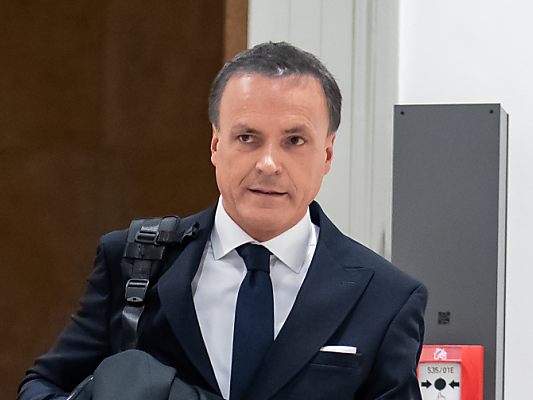 FMA-Chef Müller im U-Ausschuss befragt FMA-Chef Müller im U-Ausschuss befragt