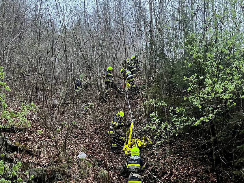 Zwei Waldbrände wüten seit Ostermontag in der Steiermark.