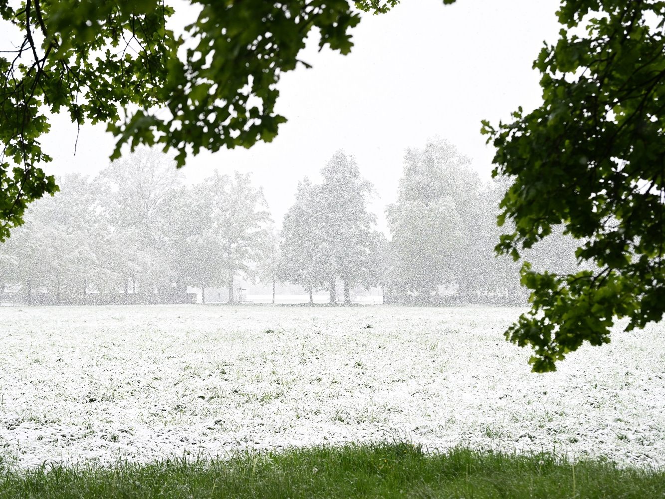 Dieses Monat gab es nicht nur sonniges Wetter. Hier ein Bild aus Salzburg vom 17. April.